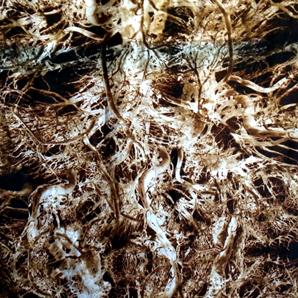 Fabric 10