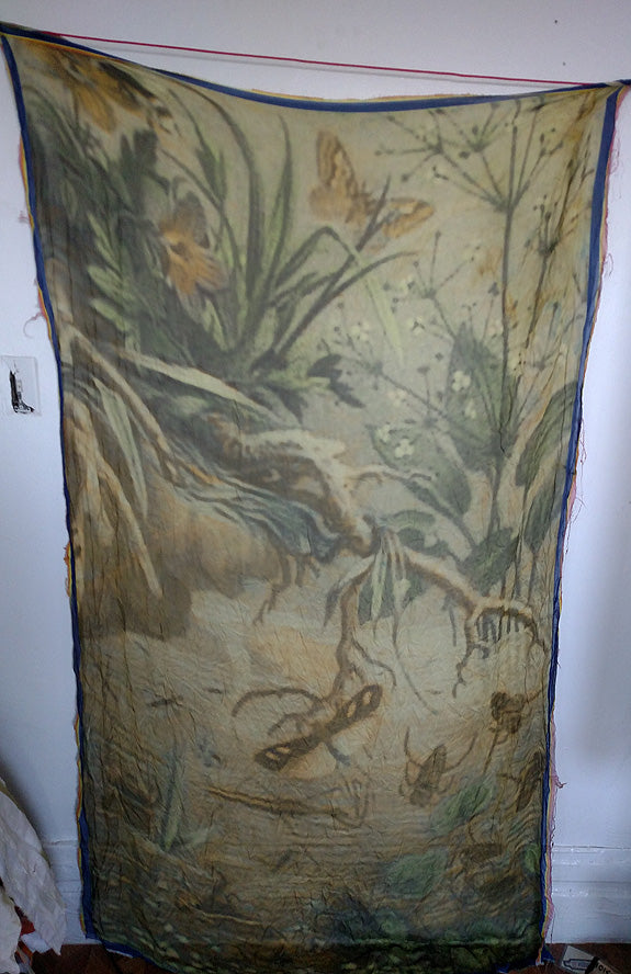 11 Insect Print