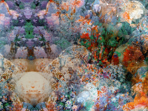Fabric 15