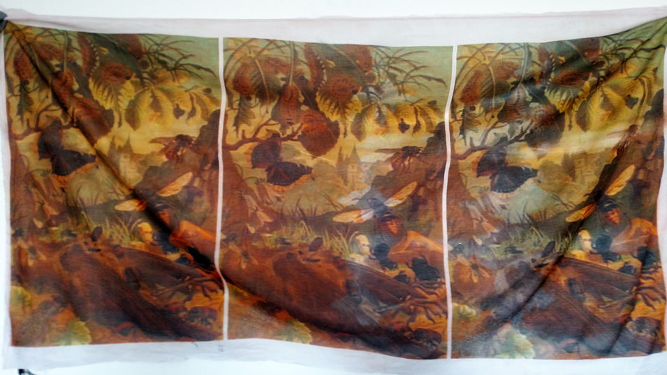 3 insect print