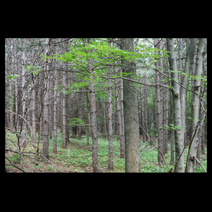 Photograph 3