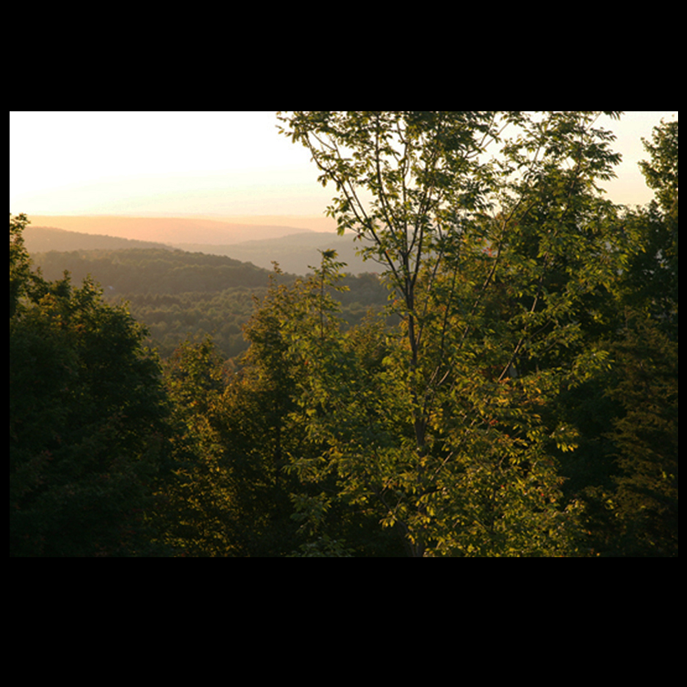 Photograph 4