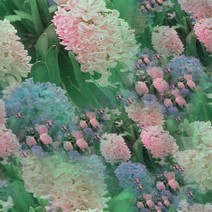 Design 23