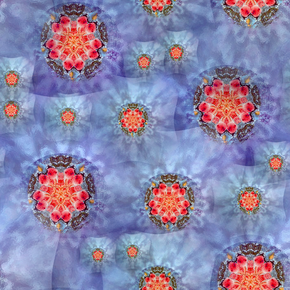 Design 6