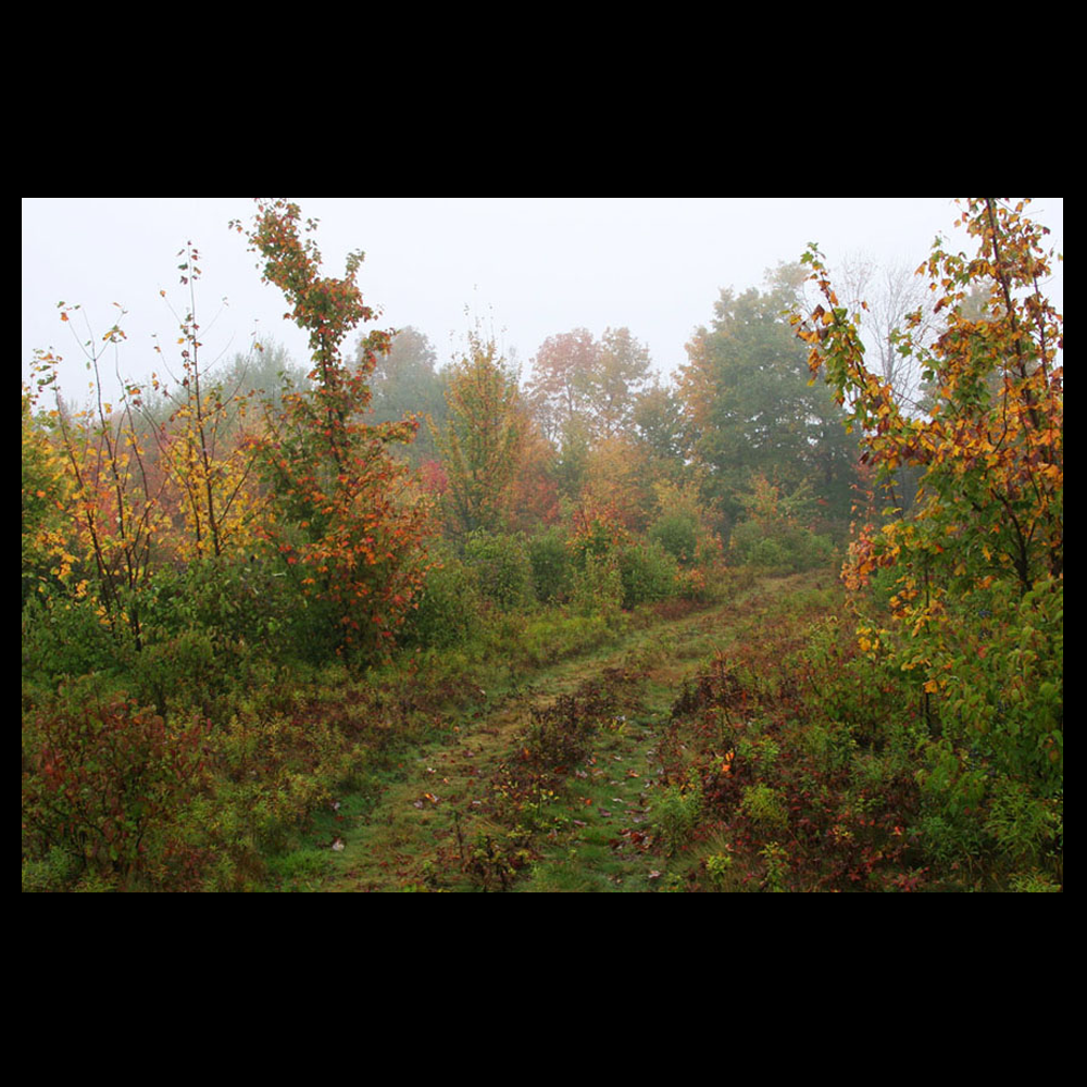 Photograph 7