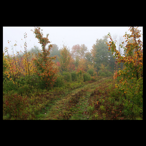 Photograph 7